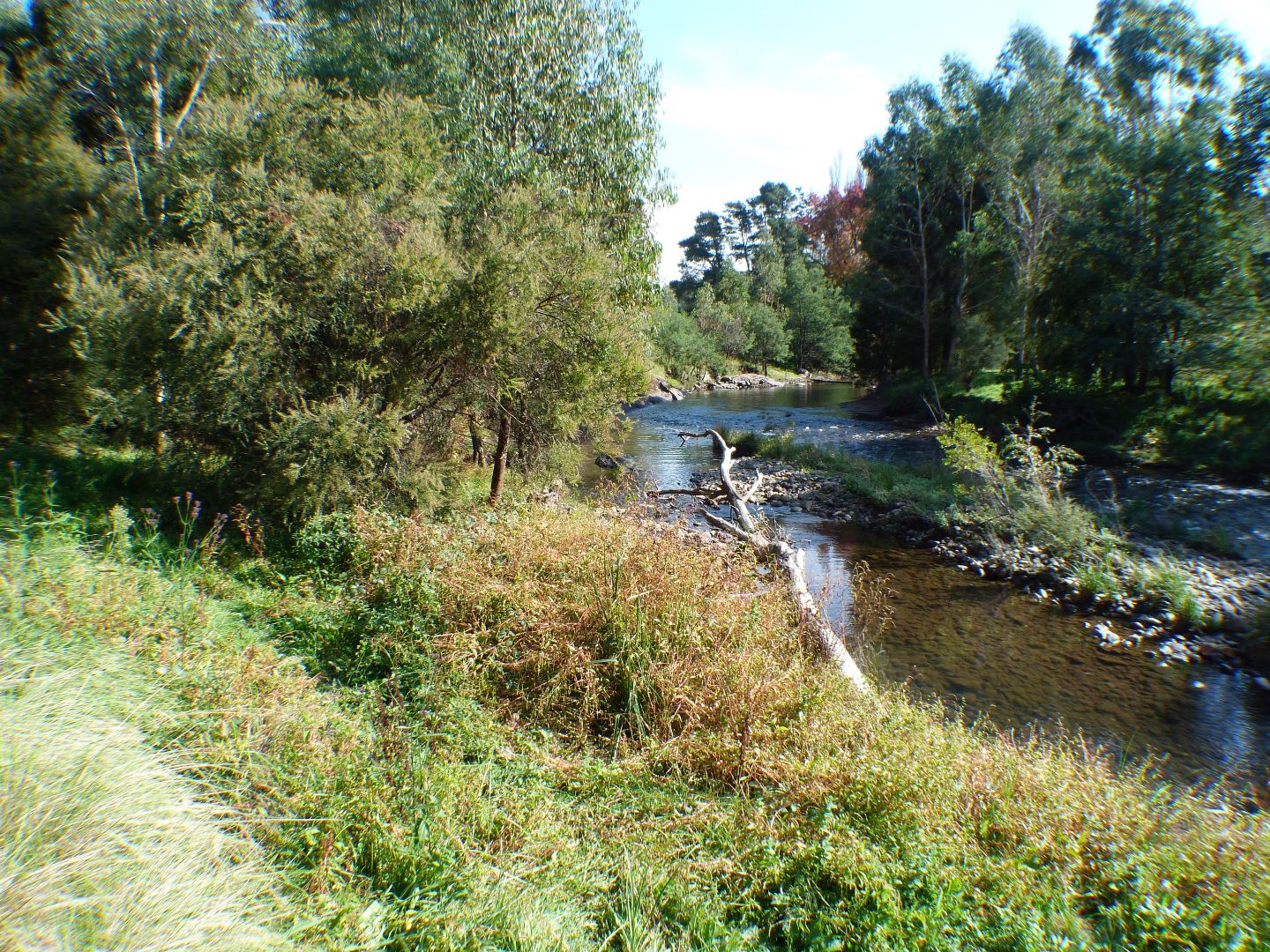 495 HOWQUA RIVER ROAD, Howqua VIC 3723, Image 2