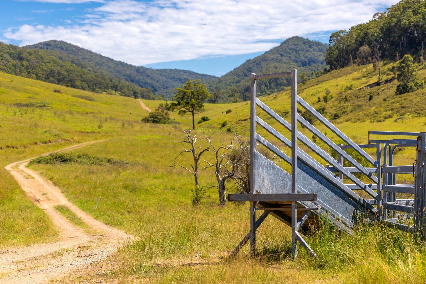 1 Andersons Creek Road, Wards River NSW 2422 Farm for Sale Domain