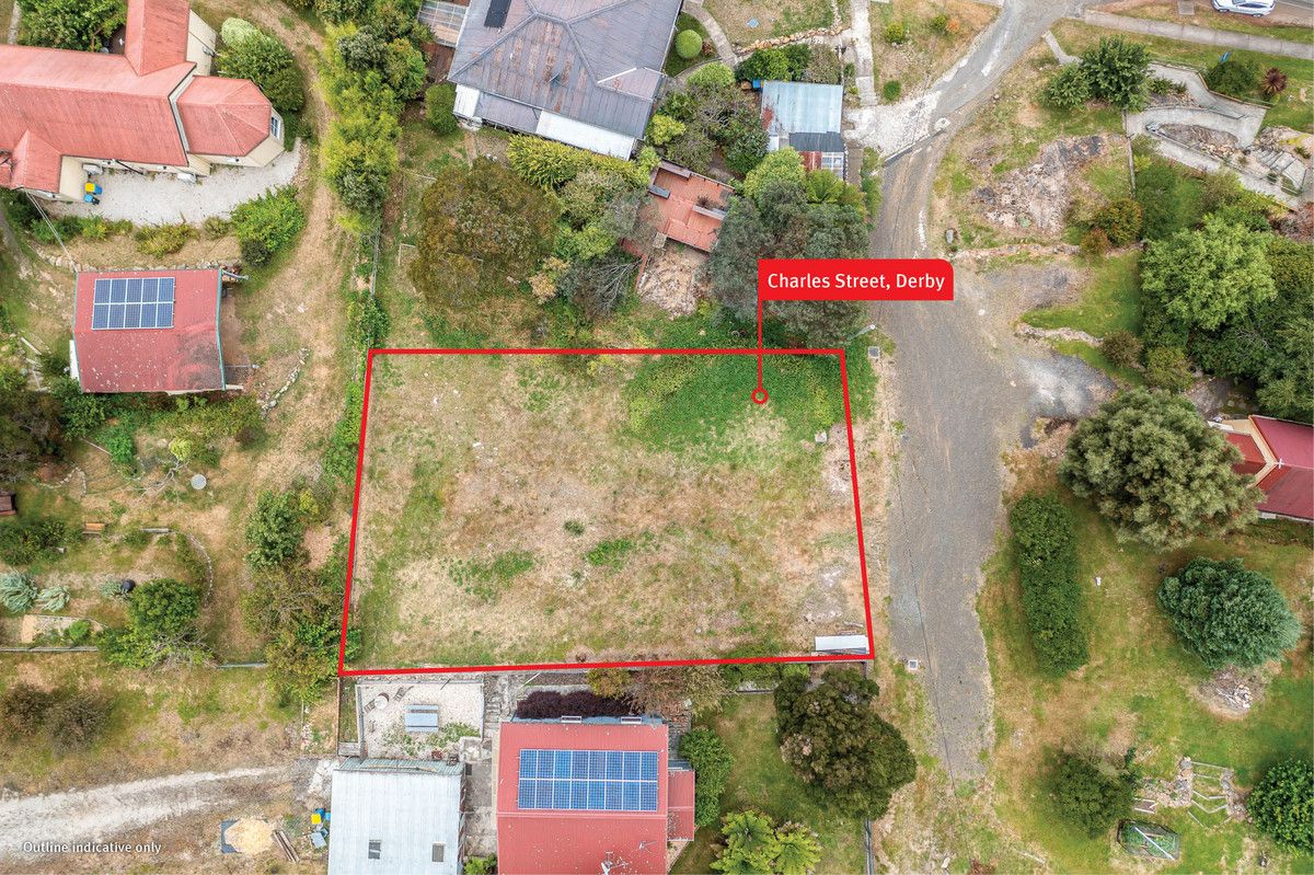 Charles Street, Derby TAS 7264, Image 1