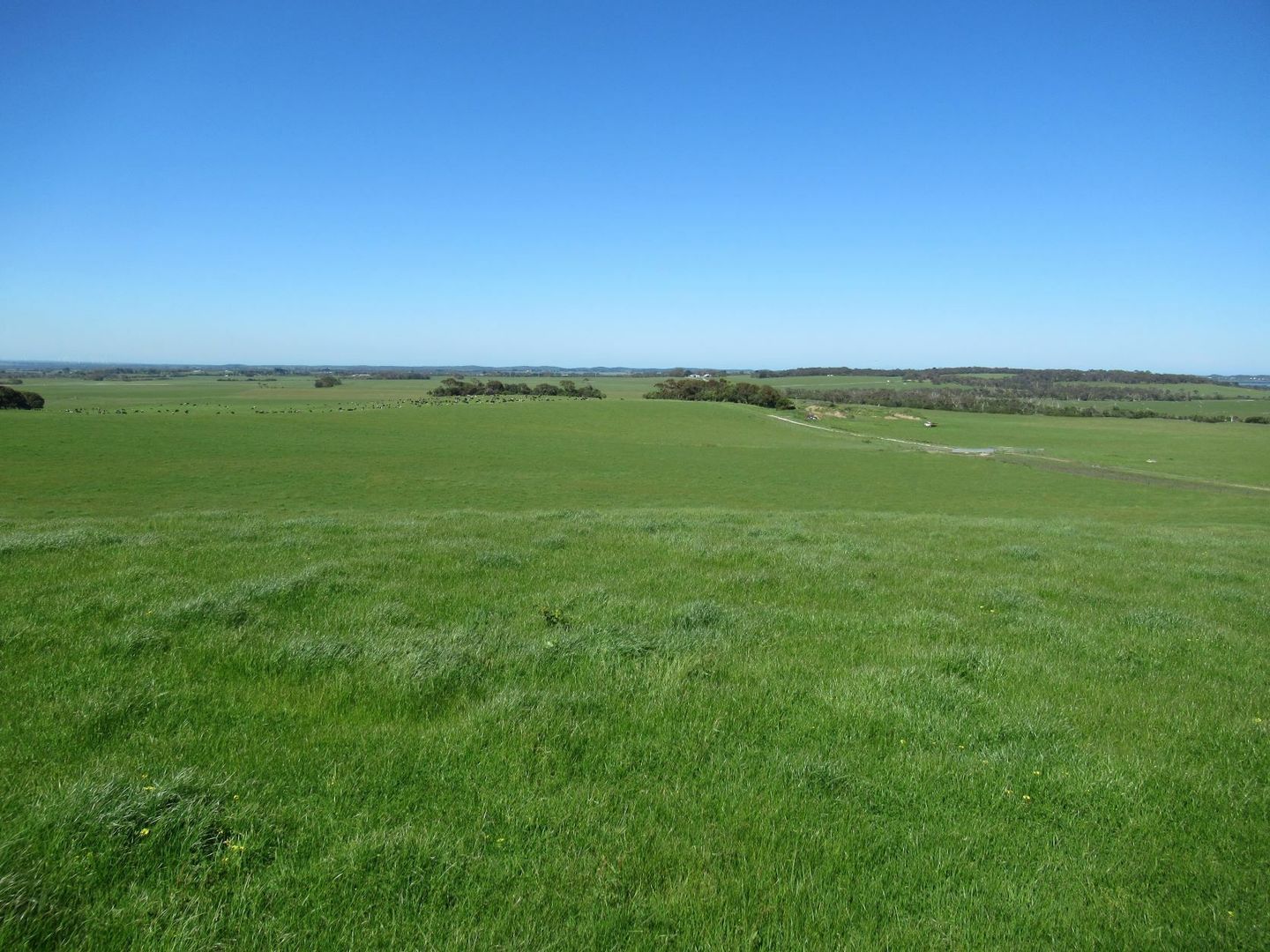 Pound Creek VIC 3996 House for Sale Domain