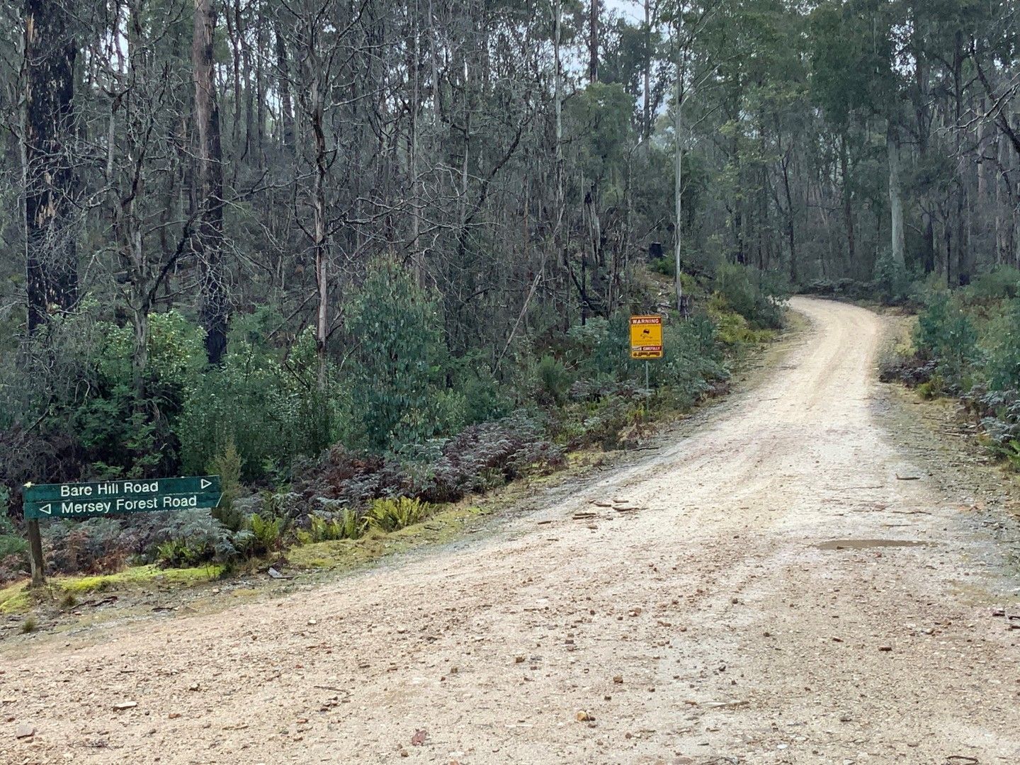Bare Hill Road, Mersey Forest TAS 7304, Image 0