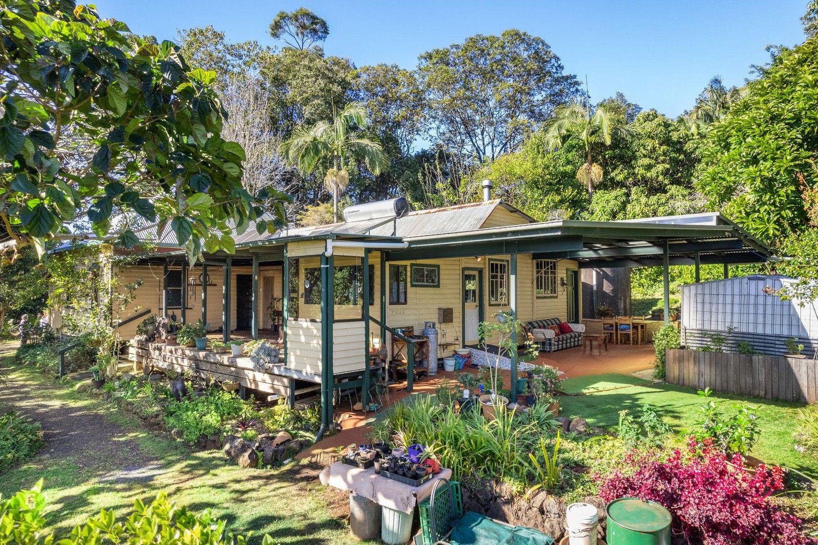 1659 Dunoon Road, Dunoon NSW 2480 House for Sale Domain