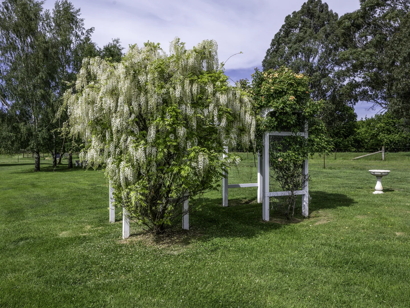 Image 20