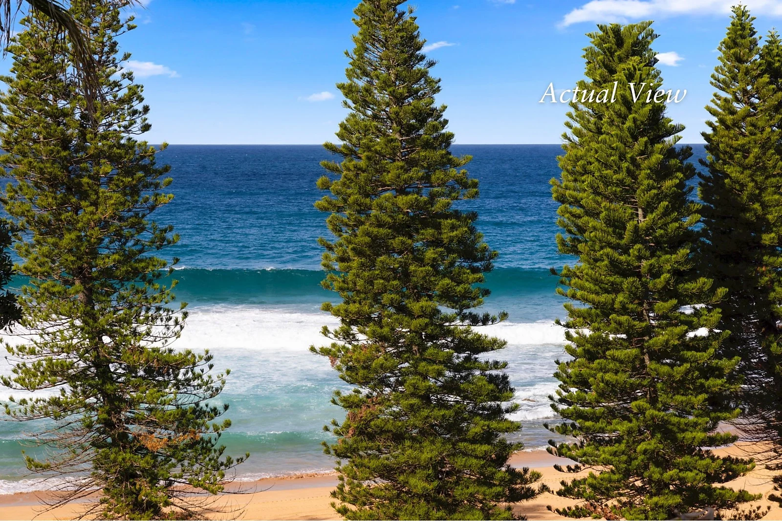 Additional image 7 of 215 Whale Beach Road, Whale Beach NSW 2107