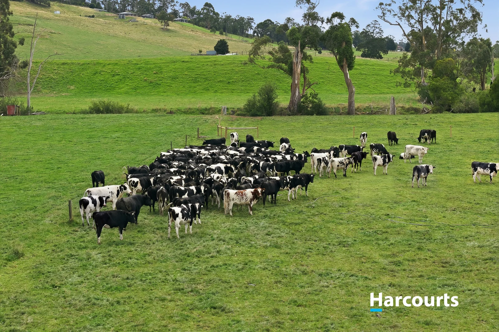 Additional image 27 of 70 Vaggs Road, Yinnar VIC 3869