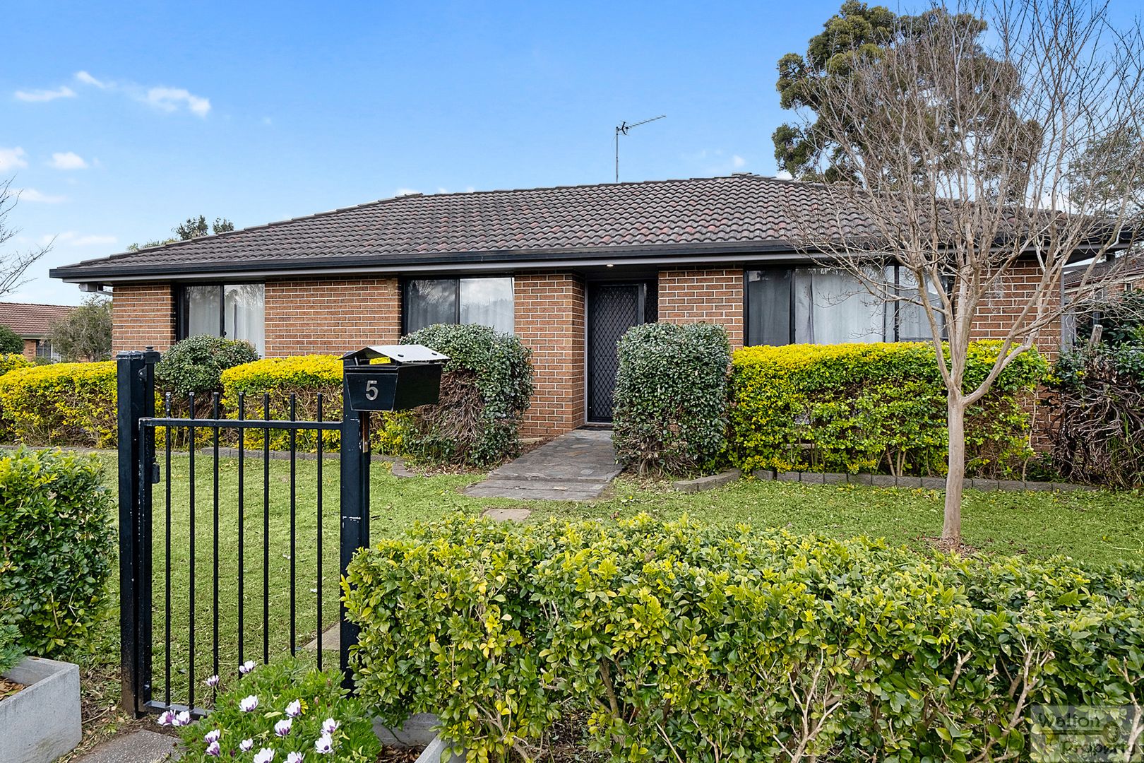 5 Neptune Crescent, Bligh Park NSW 2756, Image 2