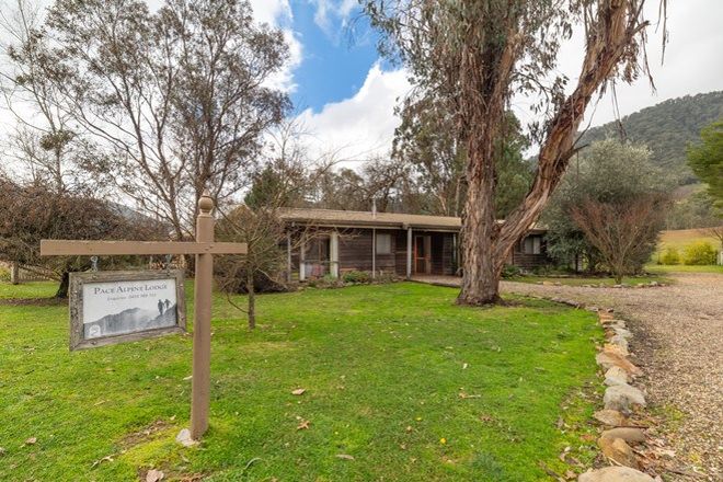 Picture of 121 Great Alpine Road, HARRIETVILLE VIC 3741