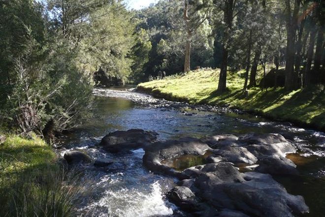 Picture of Dungowan Dam Road, OGUNBIL NSW 2340