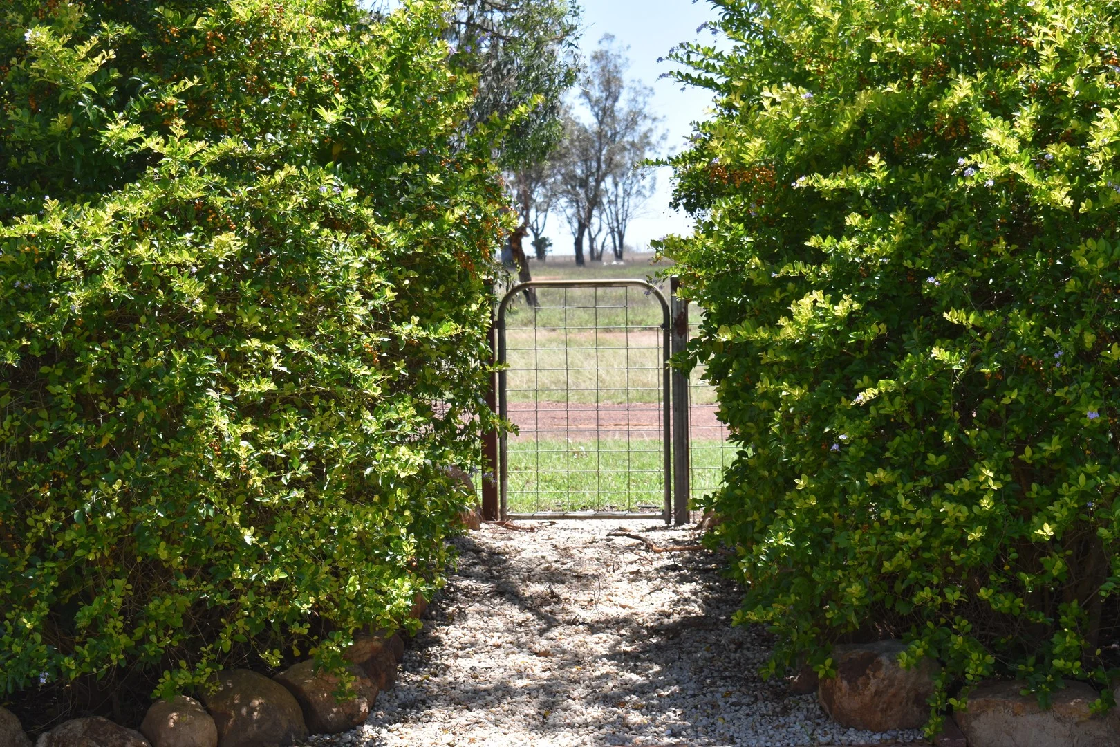 "Savannah" 438 Megine Road, Roma QLD 4455