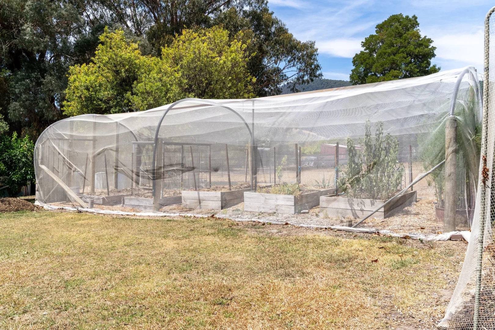 Additional image 19 of 318 Rubicon Road, Rubicon VIC 3712