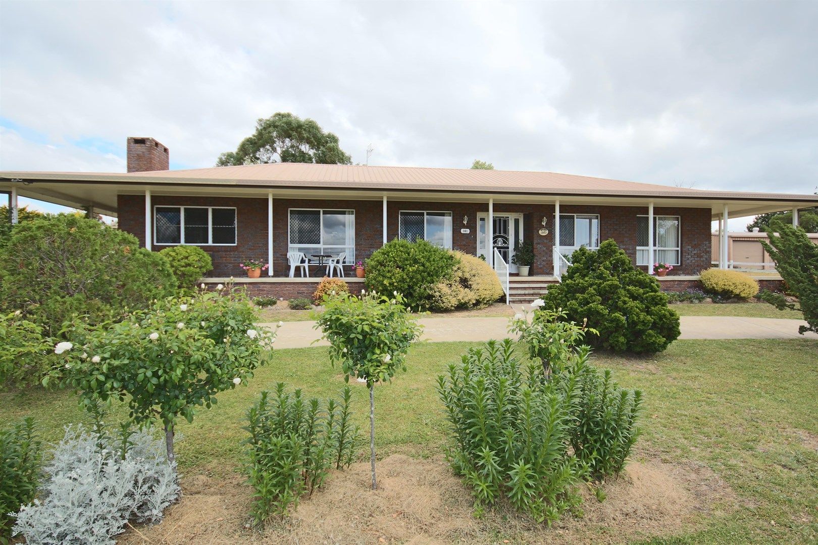 161 Petre Street, Tenterfield NSW 2372, Image 0