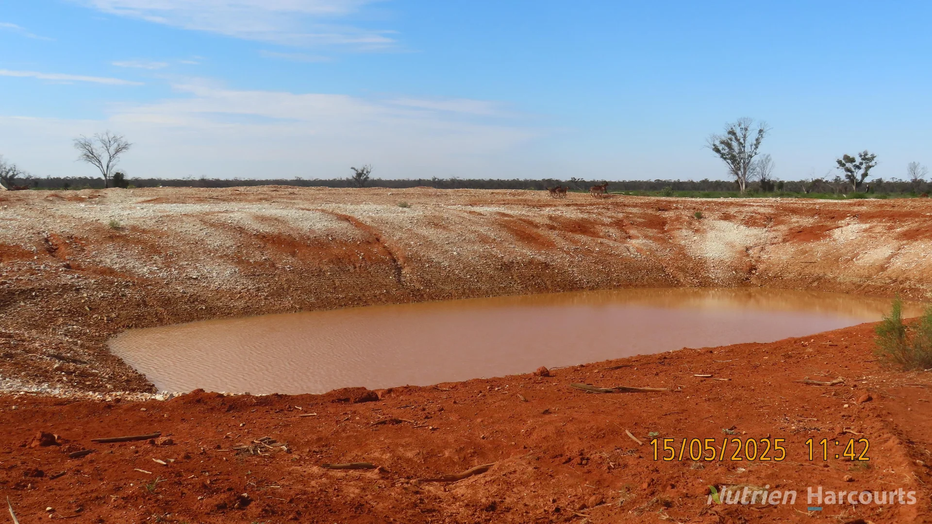 Additional image 26 of * CABLE DOWNS, Cobar NSW 2835