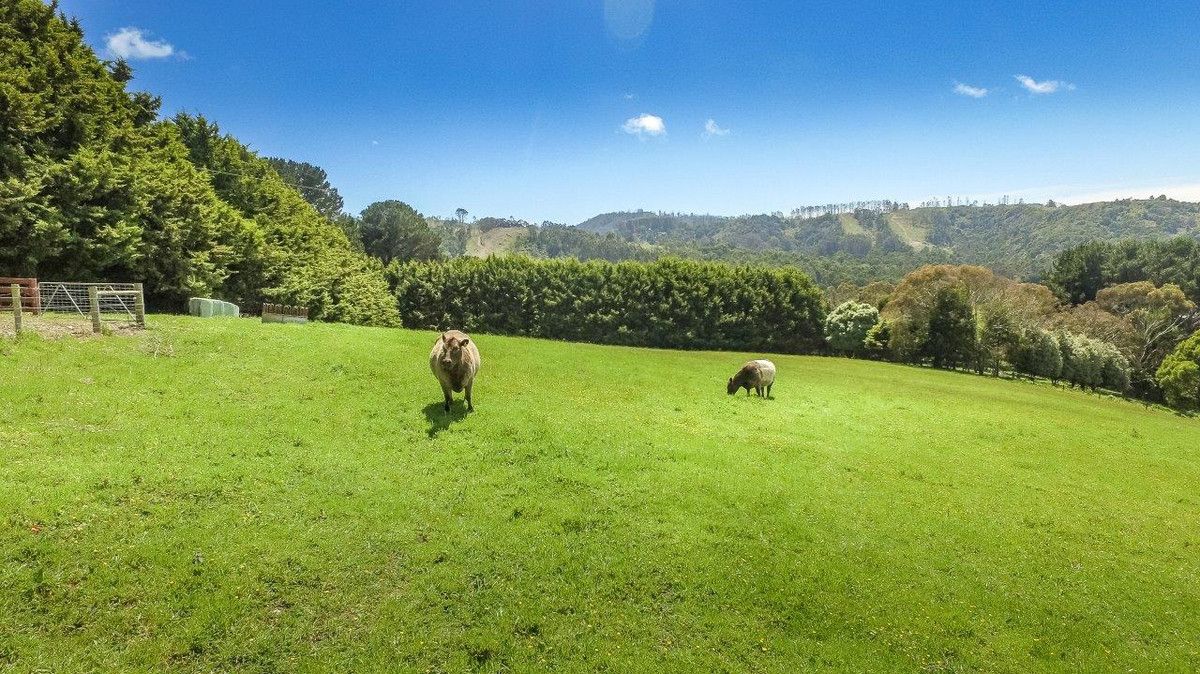 398 Mount Best Tin Mine Road, Toora North VIC 3962, Image 2