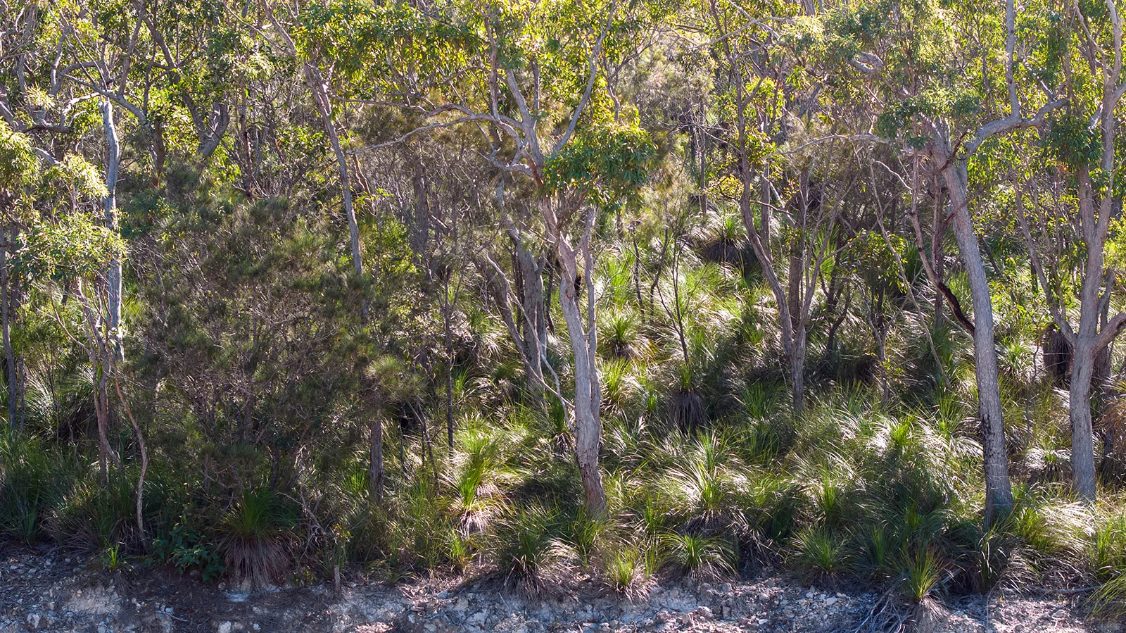 Image 16