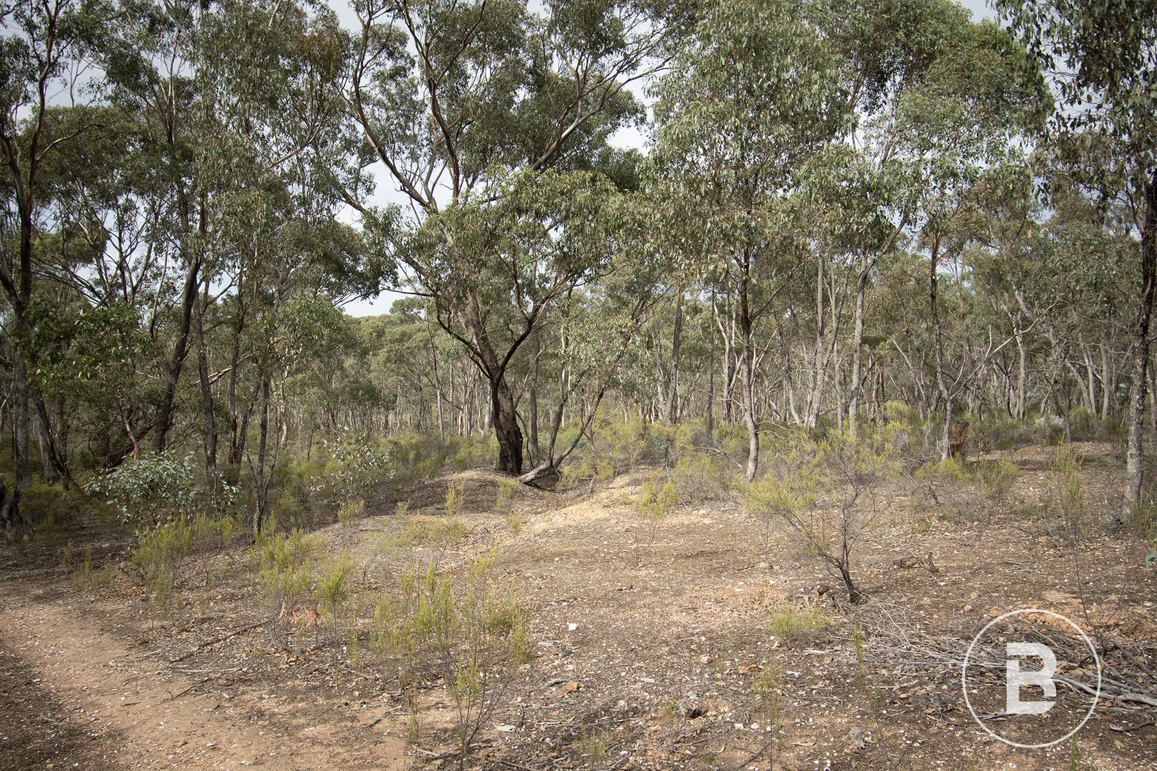 Additional image 8 of 1/557 Majorca Road, Maryborough VIC 3465