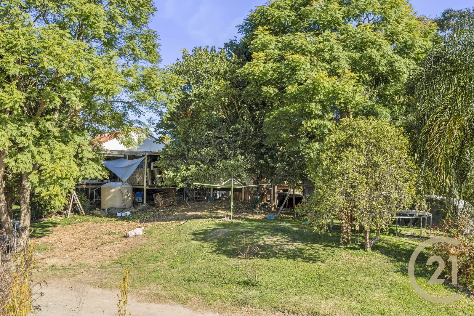 Image 4