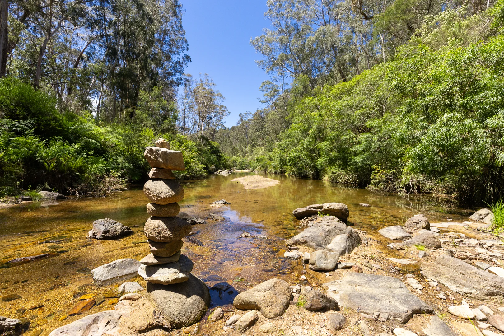 Additional image 10 of 867 Burragate Road, Wyndham NSW 2550