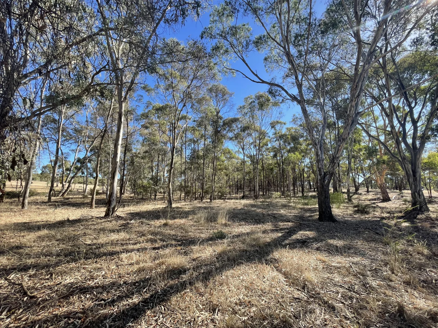 Image 15