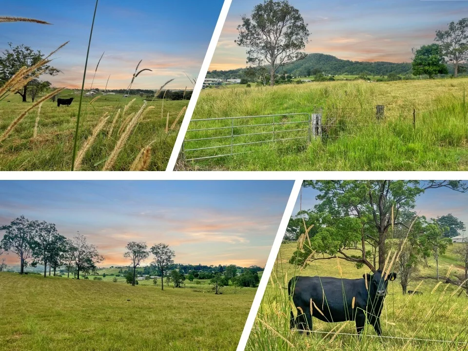 Additional image 6 of Stage 2/Lot 1 - Lot 37, Kyogle Views Estate, Kyogle NSW 2474