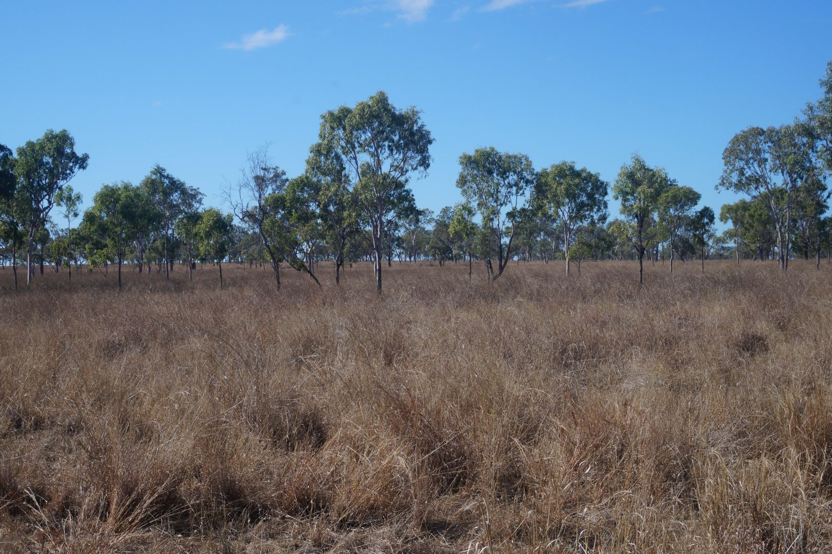 79 AIRSTRIP ROAD, Nebo QLD 4742, Image 2