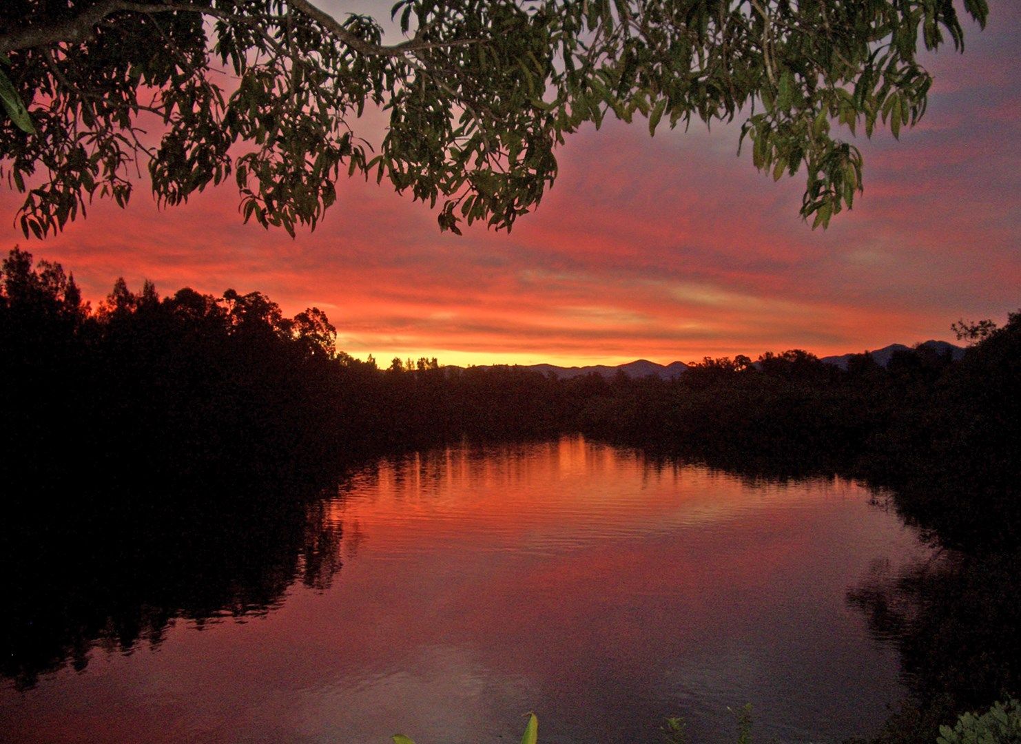 2 Old Punt Road, Urunga NSW 2455, Image 2