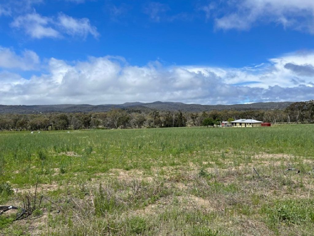 873 Thorndale Road, Glen Aplin QLD 4381, Image 0