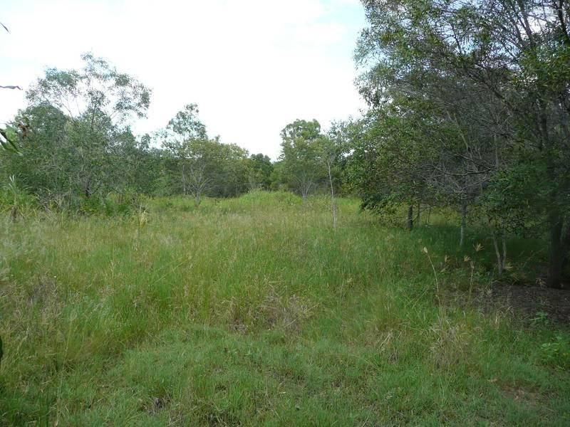 WALLAVILLE QLD 4671, Image 2