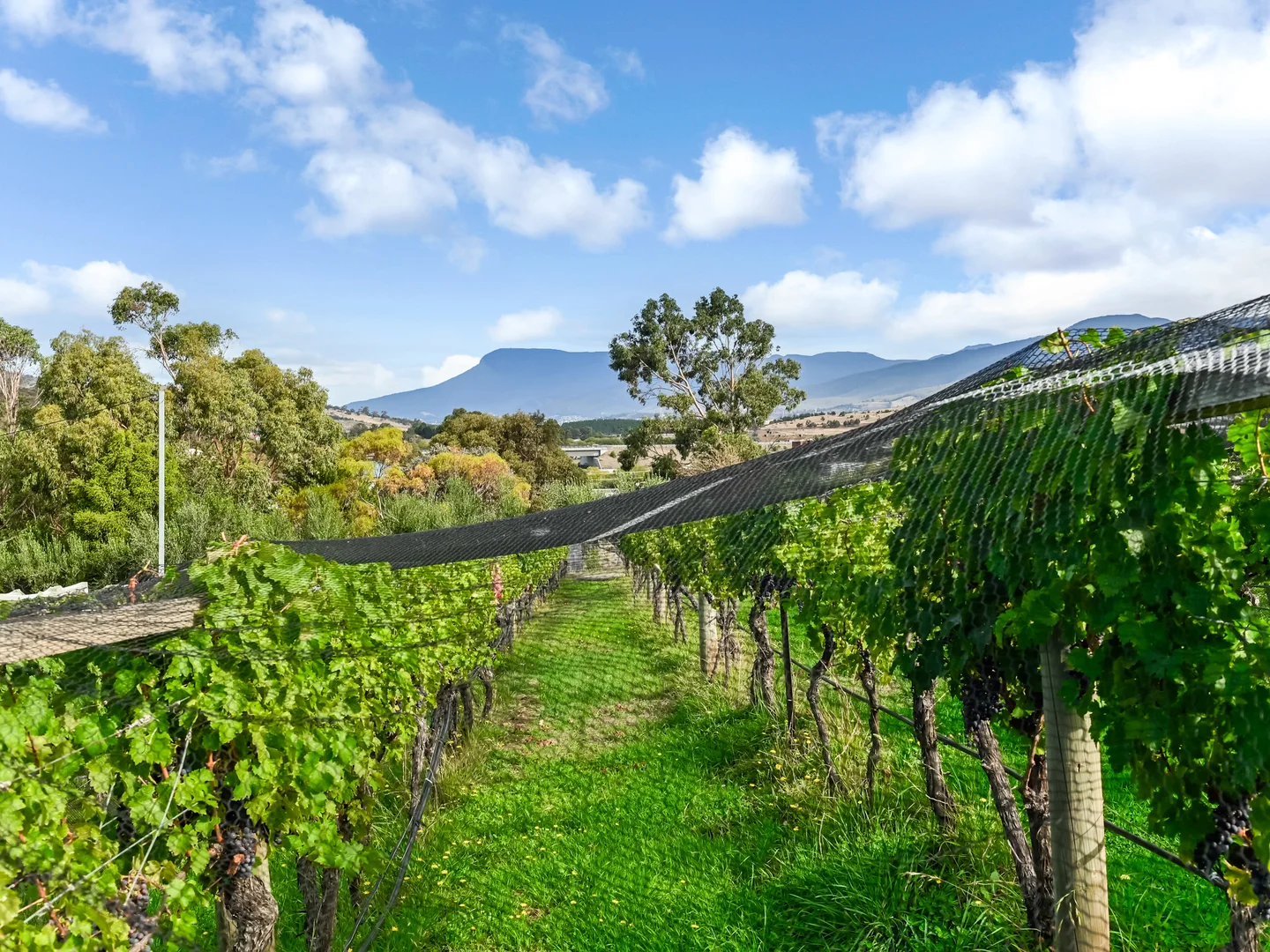 Additional image 23 of 173 Tea Tree Road, Brighton TAS 7030