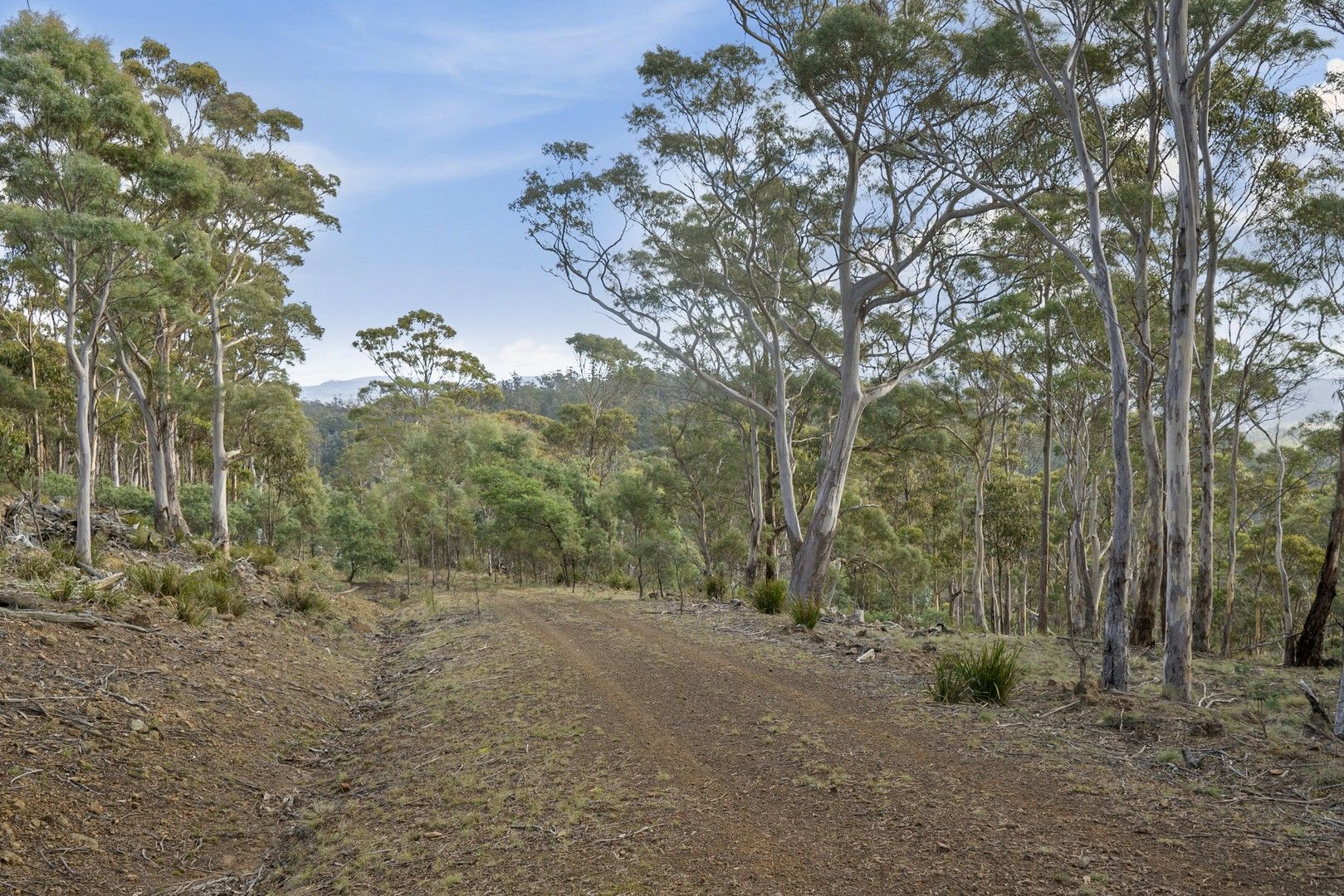 Lot 2 Stonehenge Road, Stonehenge TAS 7120, Image 2