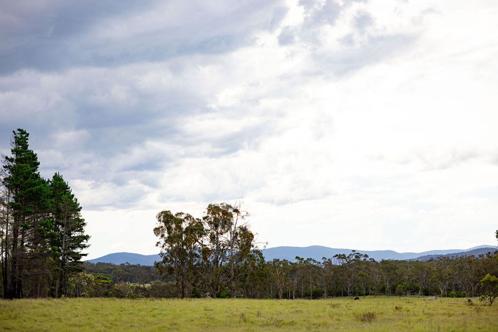 Proposed Lot 762 Robinsons Lane, Tenterfield NSW 2372, Image 1