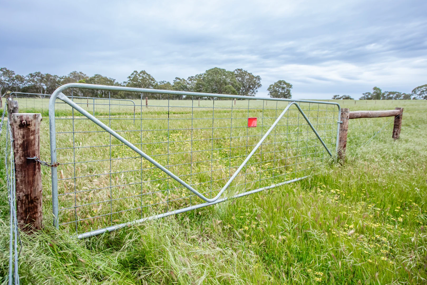 Image 12