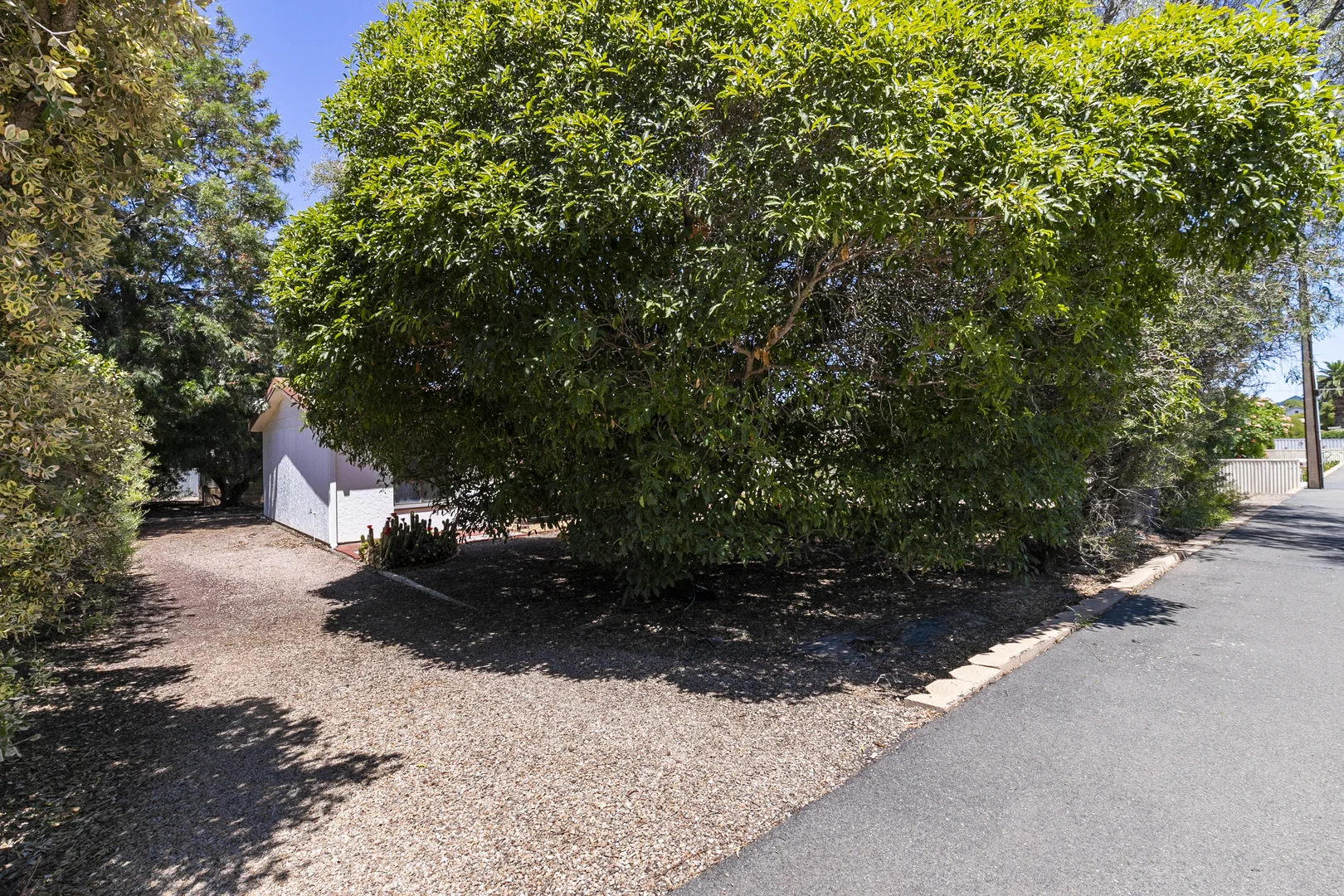 Image 15