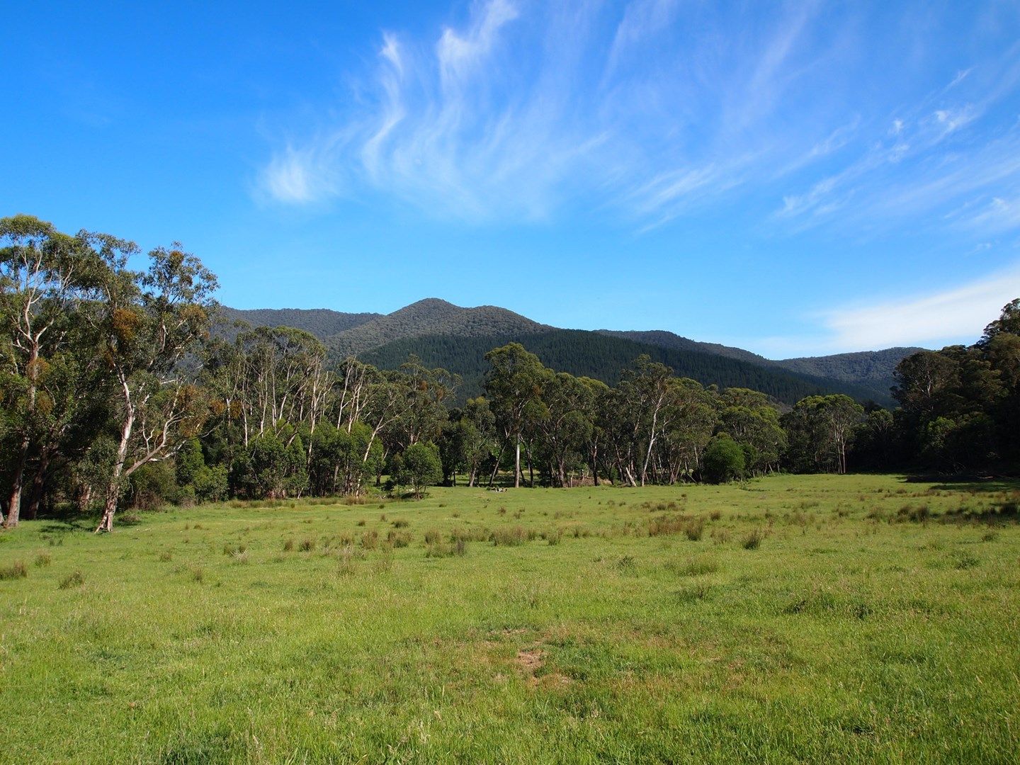 CA 20a Morses Creek Road, Wandiligong VIC 3744, Image 0