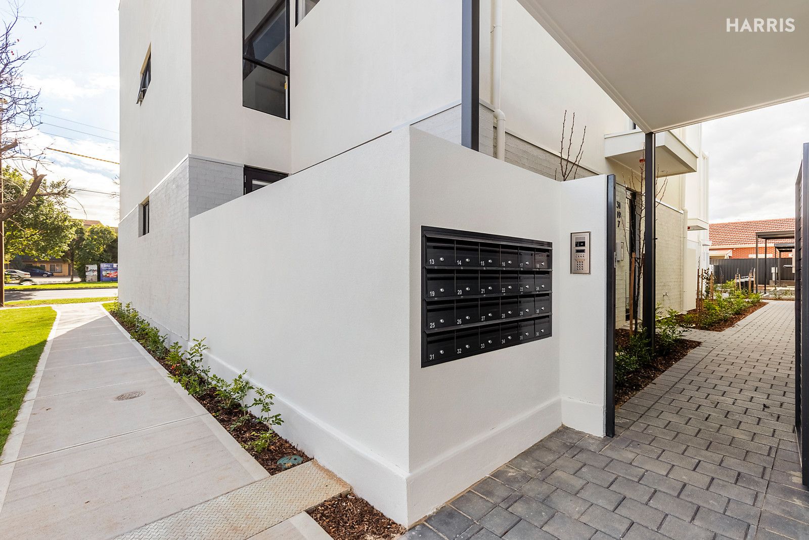 6 1 Charles Street Plympton Sa 5038 Apartment For Rent 354 386 Domain