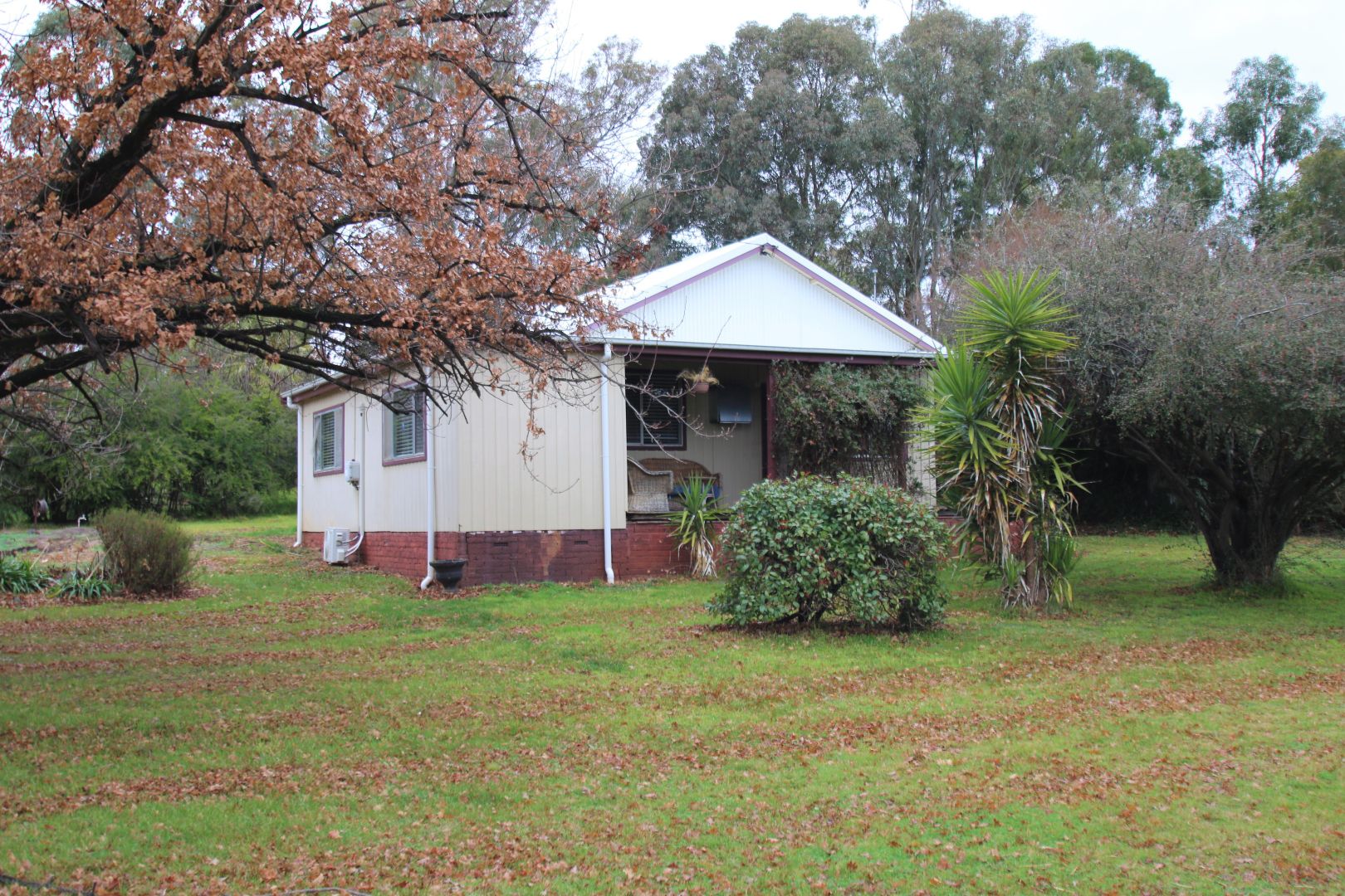 36 Boree Street, Cudal NSW 2864 House For Rent 360 Domain