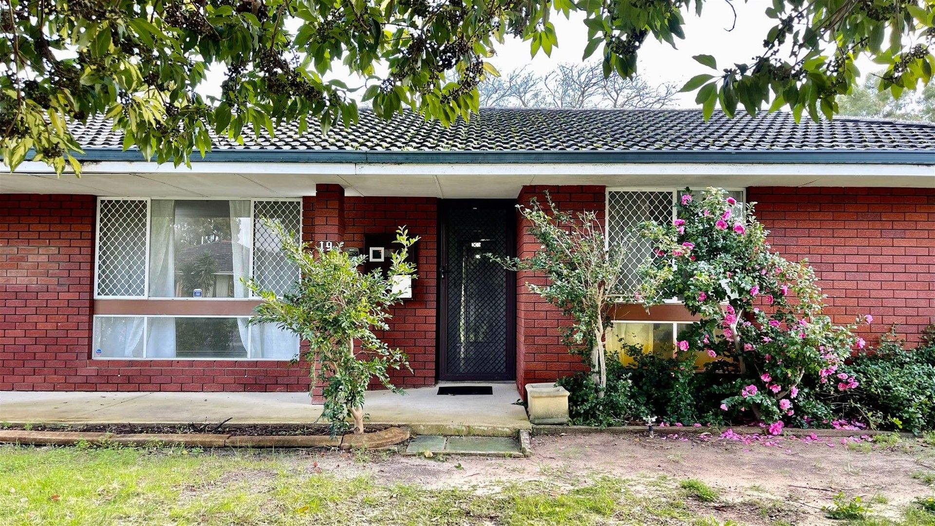 3 bedrooms House in 19 MERRIFIELD AVENUE KELMSCOTT WA, 6111
