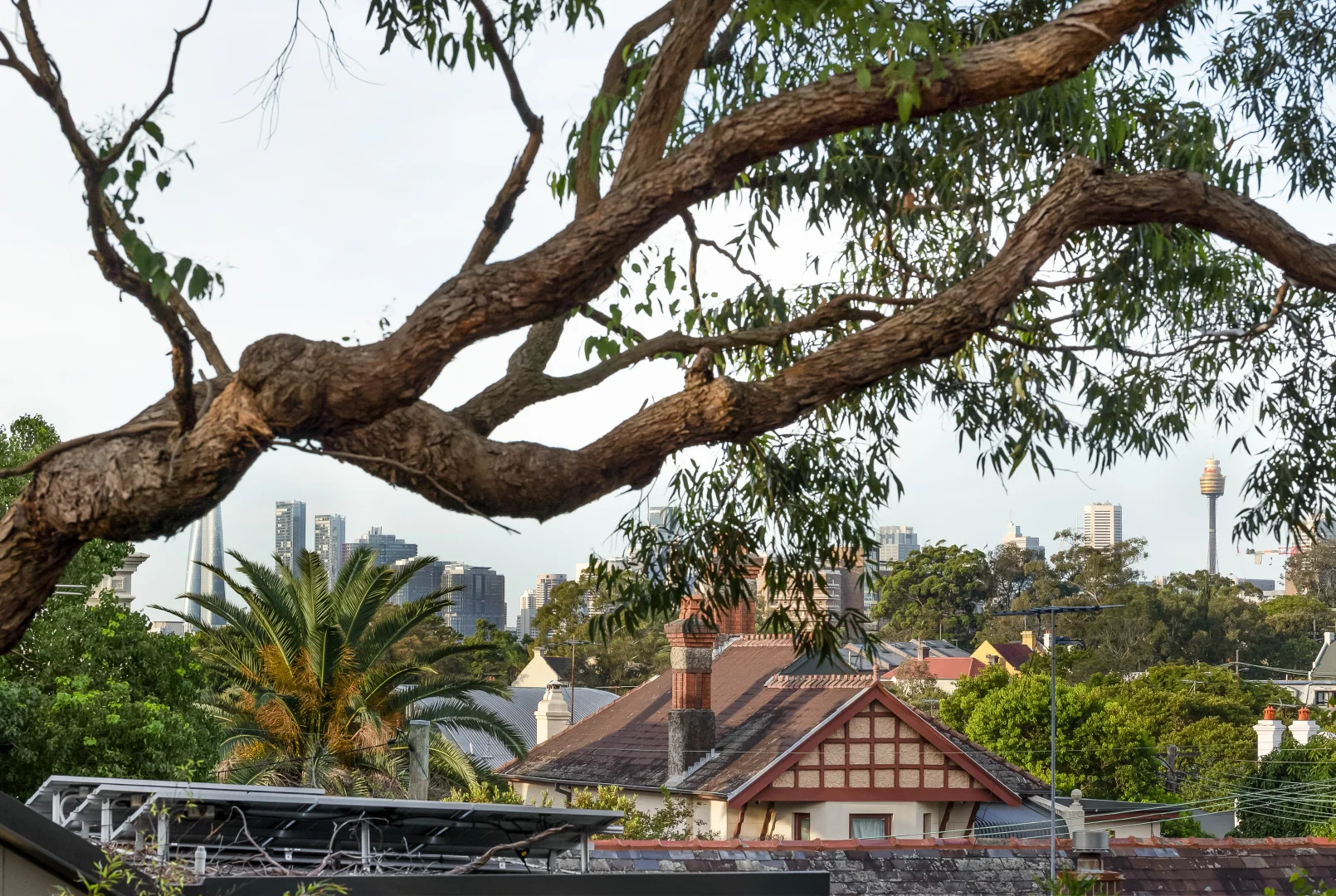 Additional image 5 of 16/2-6 Liberty Street, Enmore NSW 2042