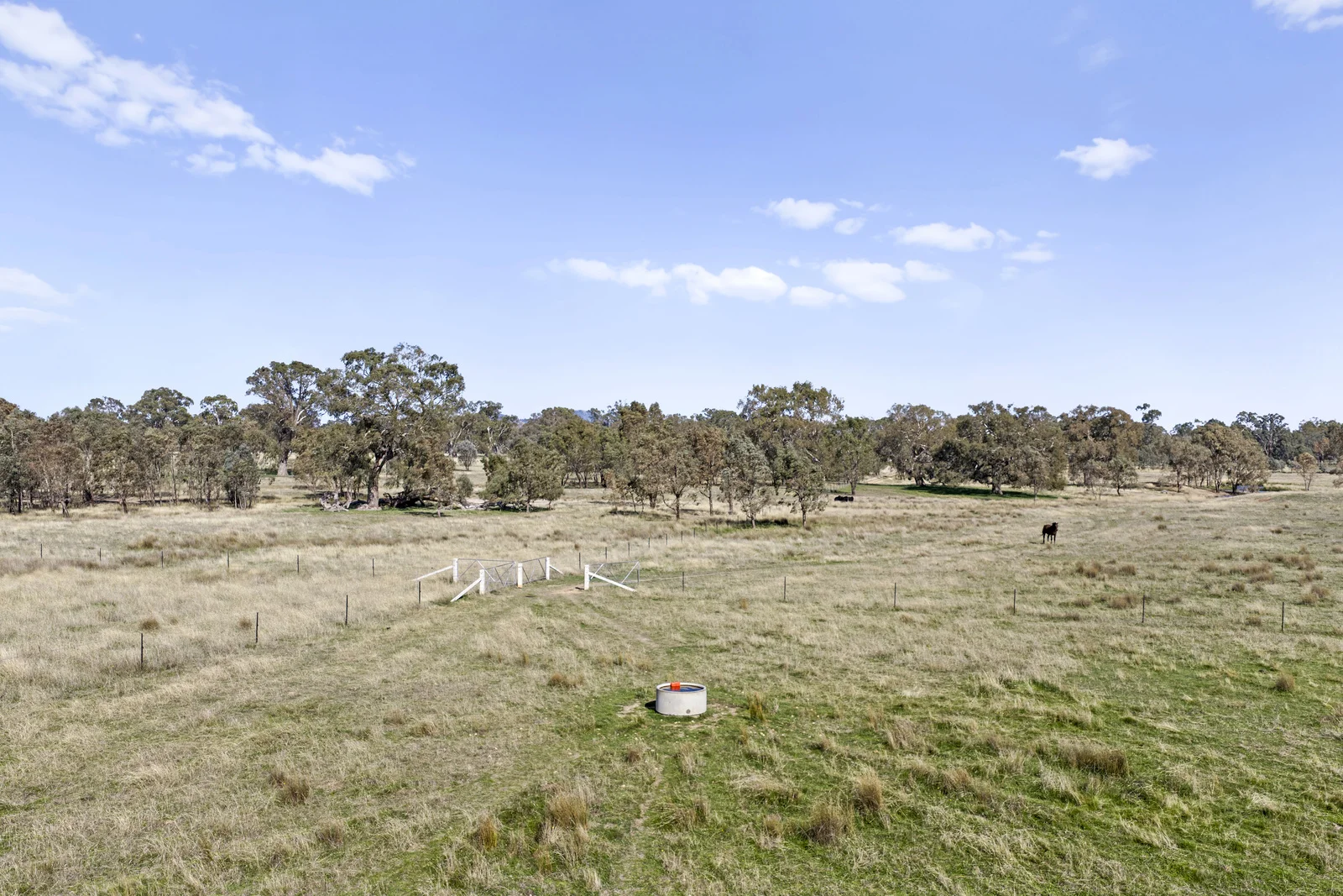 Additional image 8 of 100 Dueran Lane, Mansfield VIC 3722