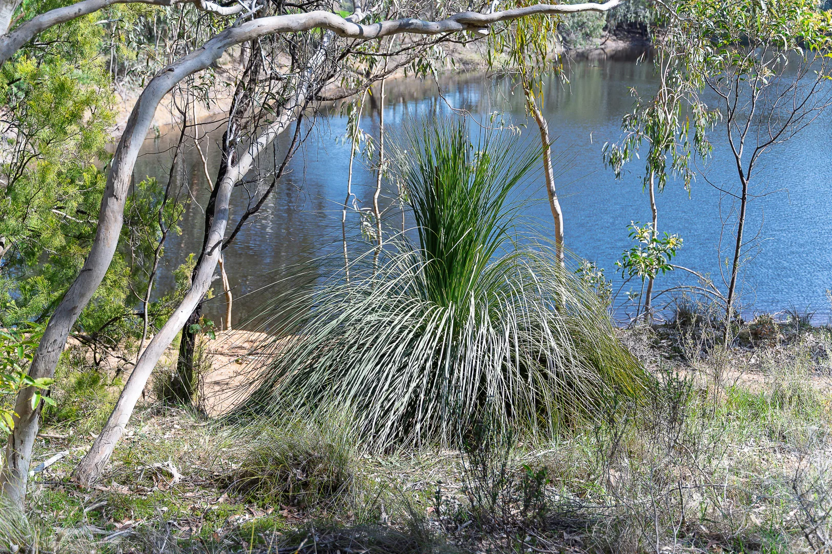 Image 17