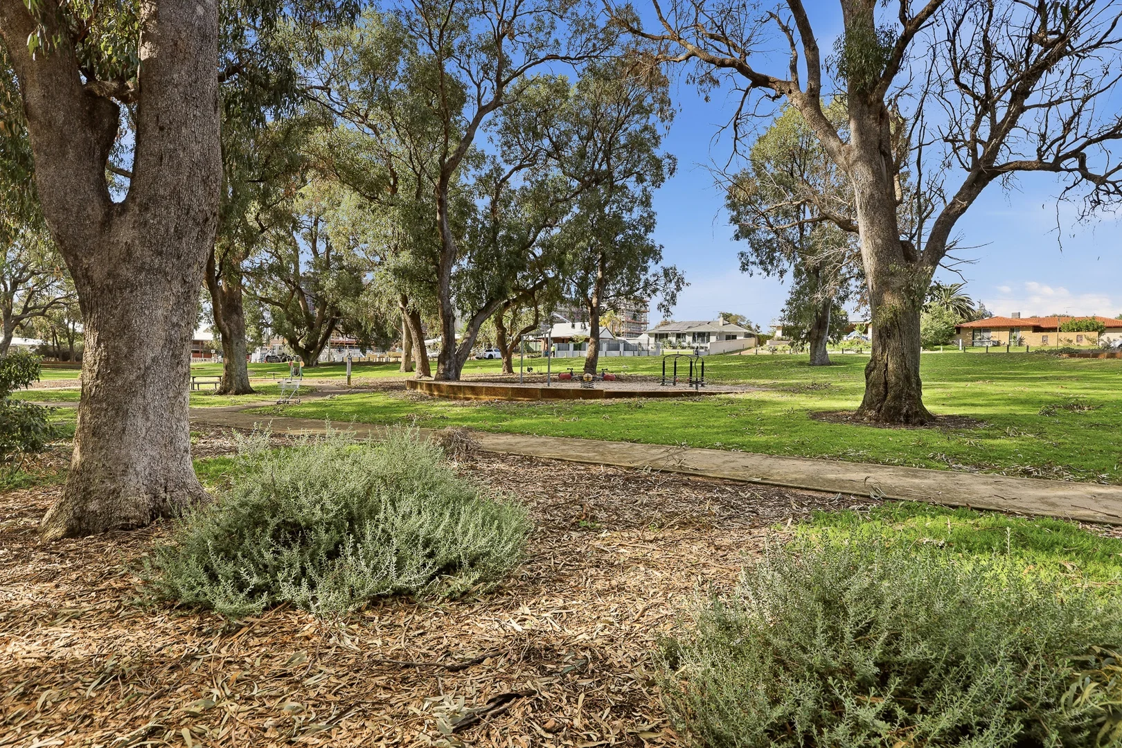 Image 14