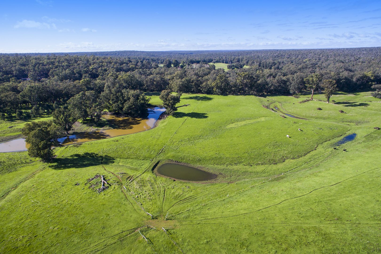 Lot 1 Brockman Highway, Nannup WA 6275, Image 2