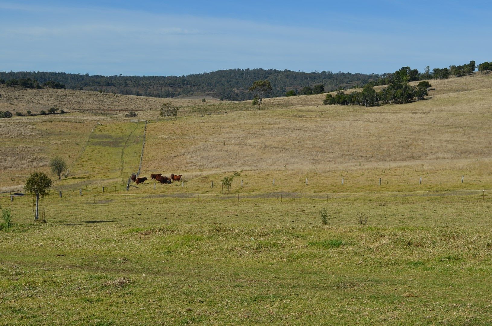 59 Thornville Range Road, Thornville QLD 4352, Image 0