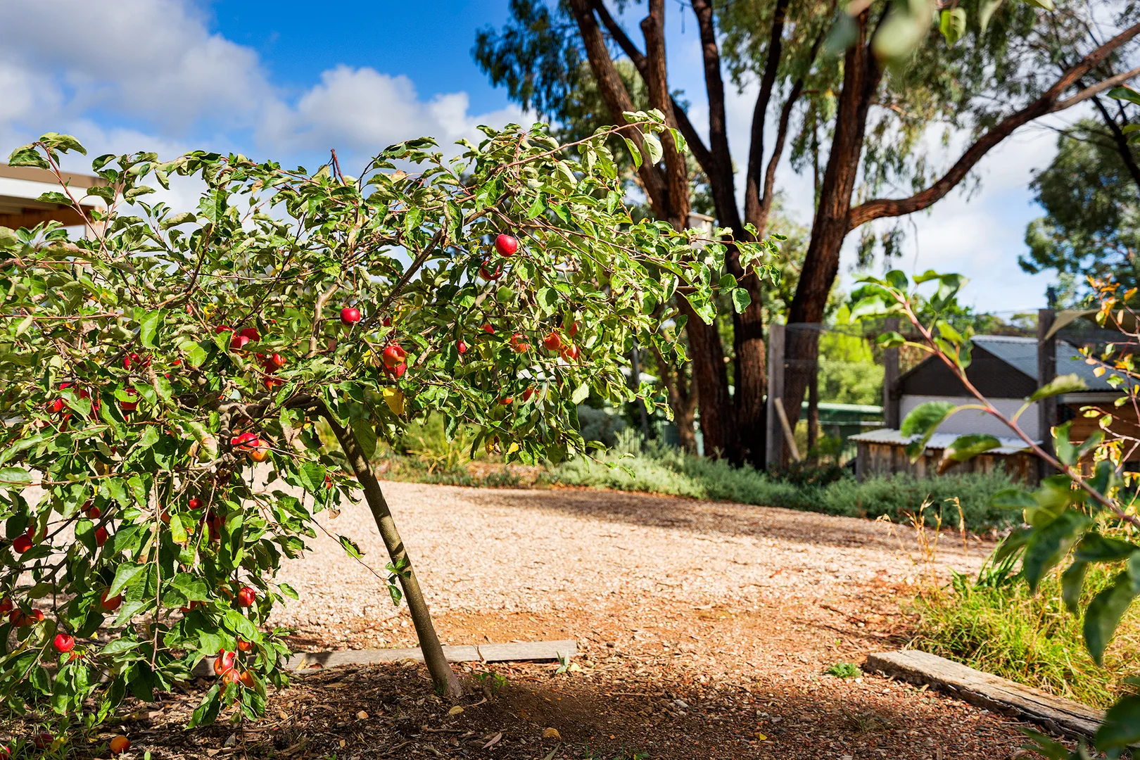 Additional image 25 of 20/19 Reckleben Street, Castlemaine VIC 3450