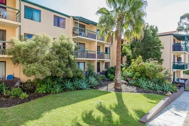 459 Rental Properties In West Perth Wa 6005 Domain