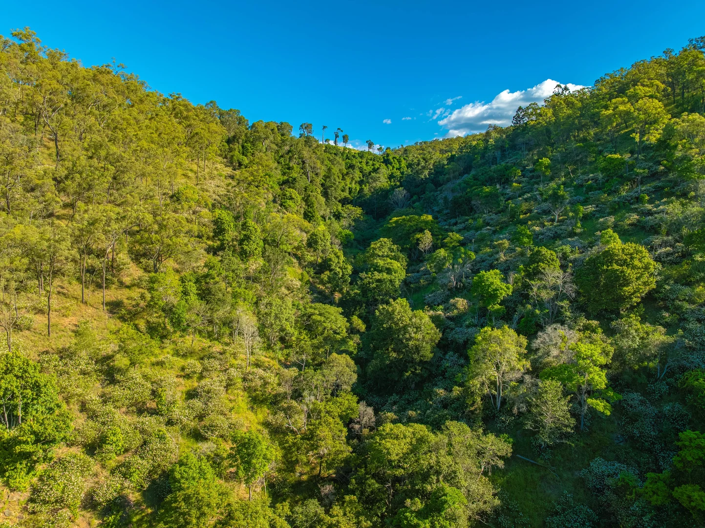 Additional image 37 of 878 Rossmore Road, Kilkivan QLD 4600