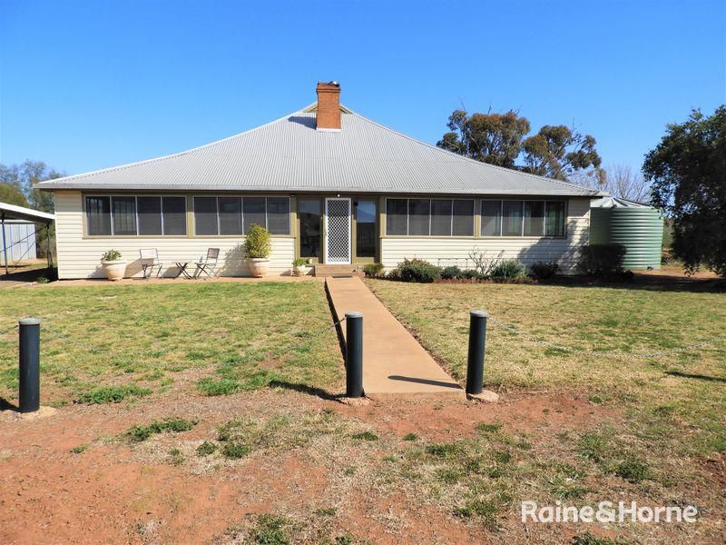 698 Driftway Road, Caragabal NSW 2810, Image 1