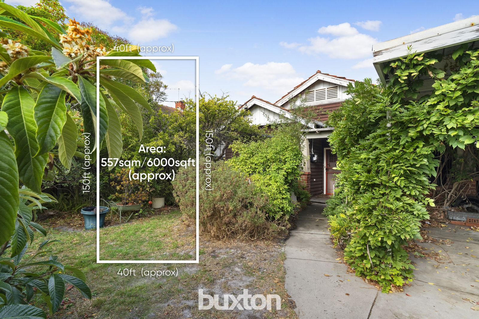 58 Holyrood Street, Hampton VIC 3188, Image 0