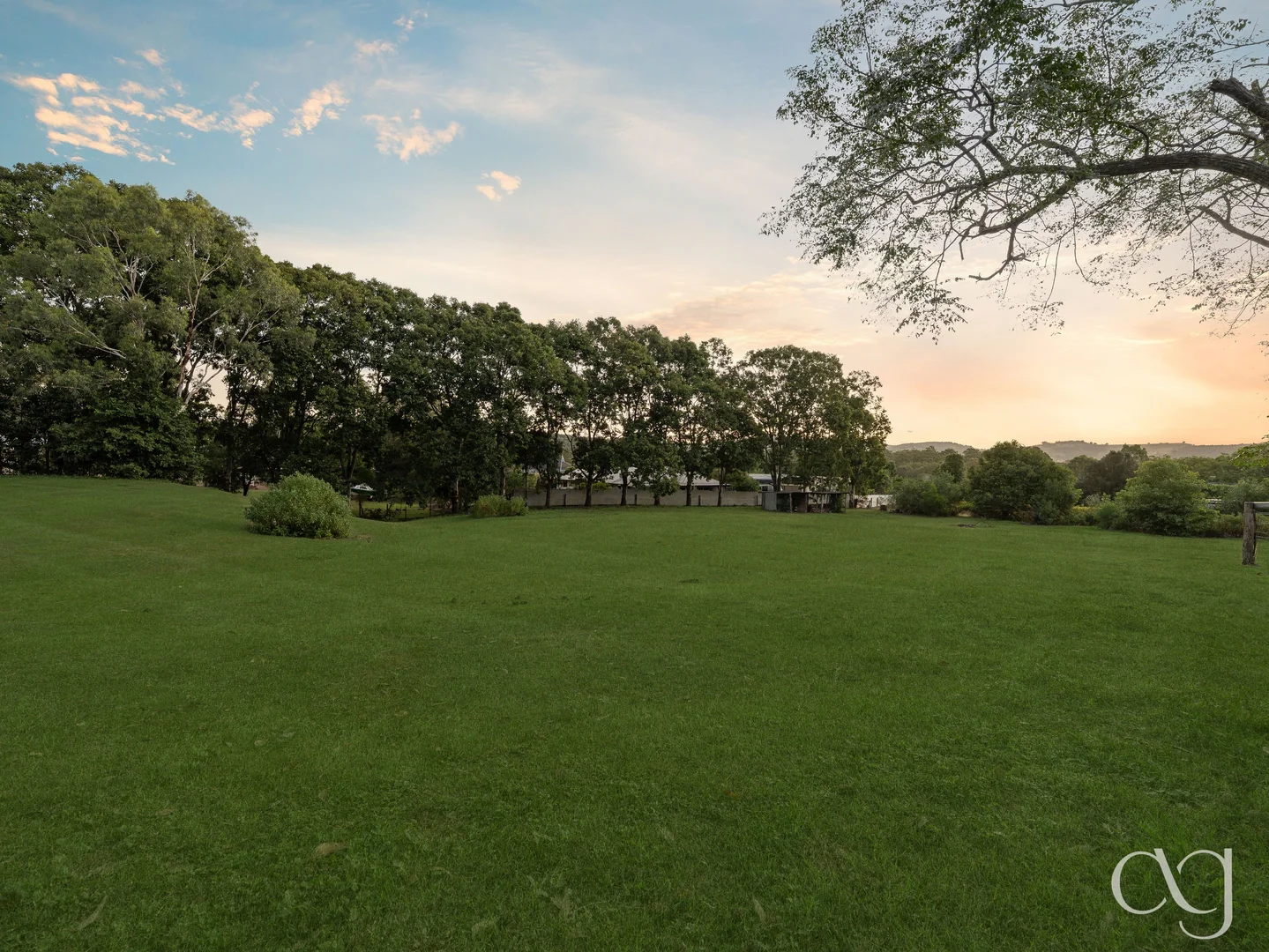 Image 39