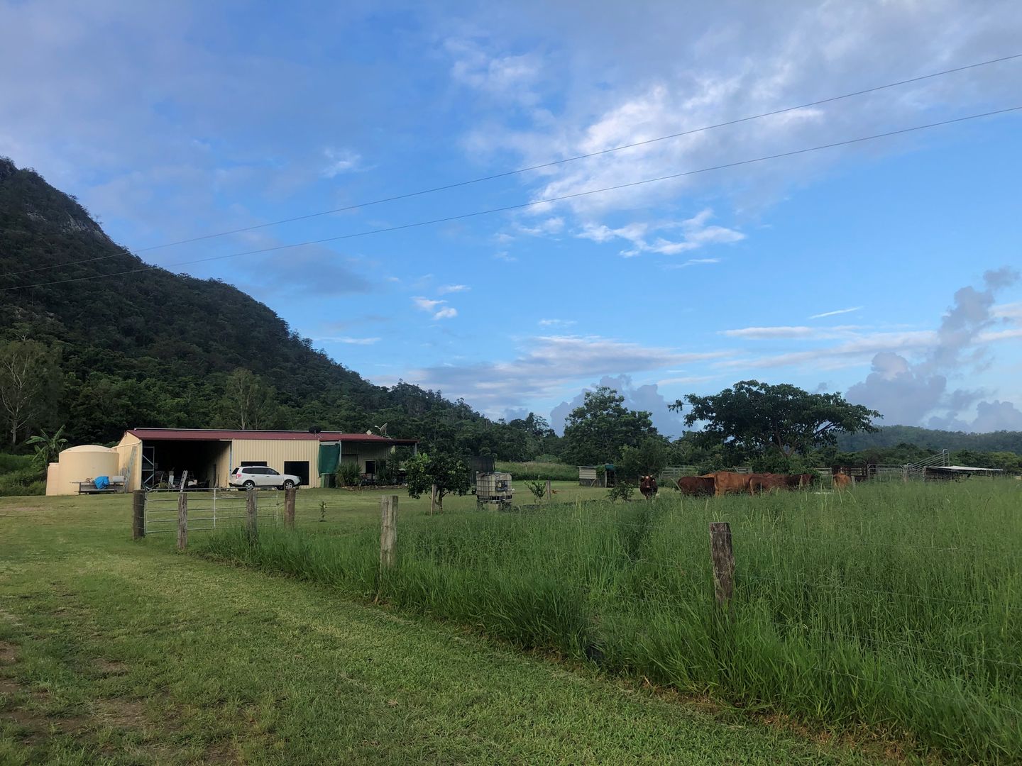 Mount Jukes QLD 4740 - House for Sale - $525,000 | Domain