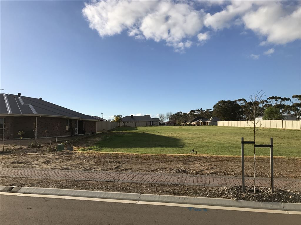 Lot 204 Hanson Street, Freeling SA 5372, Image 1